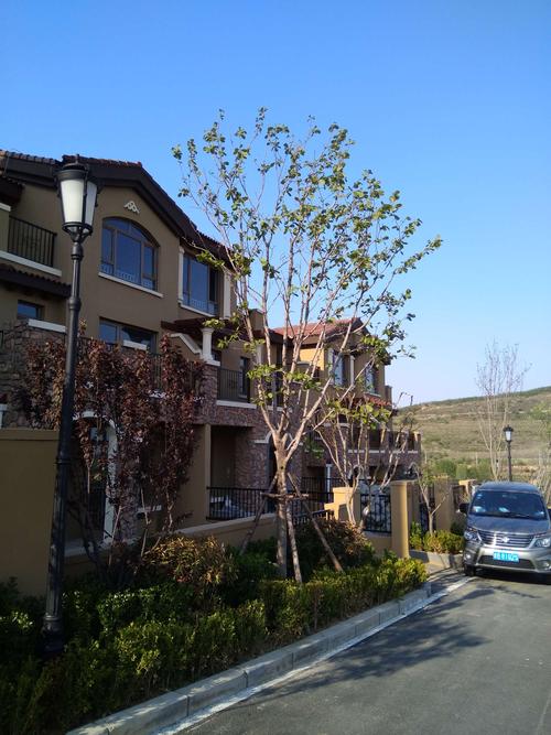 其它 天泰桃花源,天泰蓝山美景图(并非广告) 写美篇天泰蓝山温泉小镇.