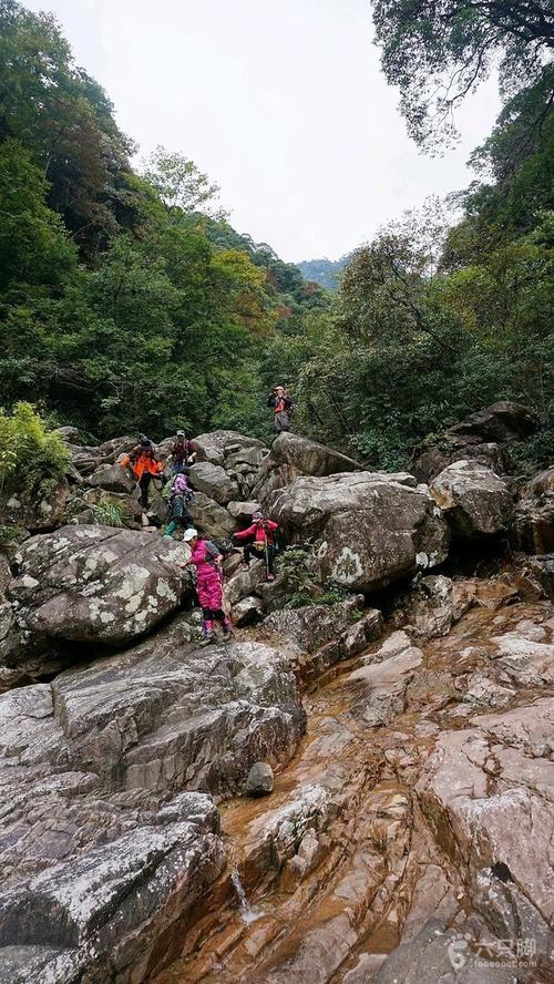2018-10-13 西坑-黄冈山-西坑(江西武夷山保护区)31