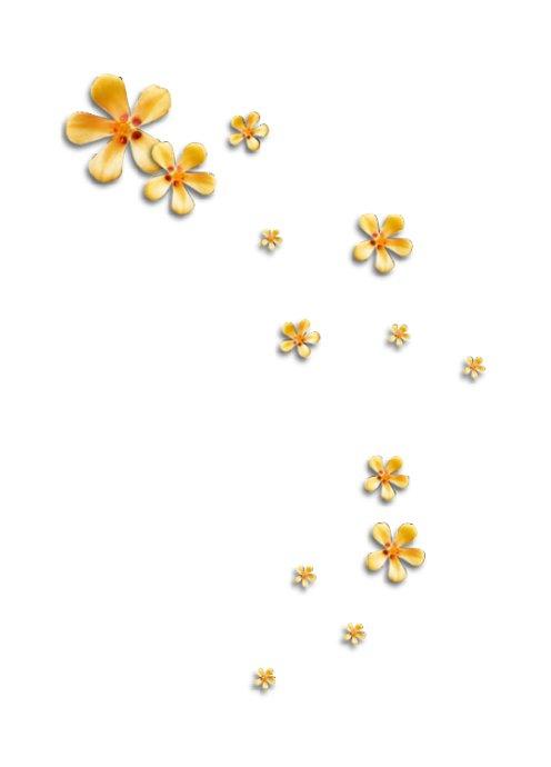 [转载]ps免抠素材之二《花朵》