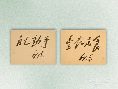 自己动手,丰衣足食的主席题词