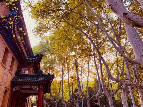 美龄宫 南京钟山风景区_文案_景点_美龄宫_风景_美龄宫_薯条_南京美龄