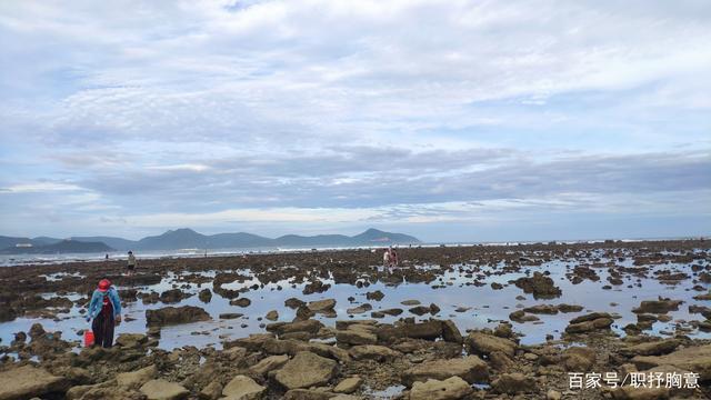 三亚小东海赶海忙!