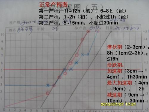 产程图ppt_word文档在线阅读与下载_无忧文档