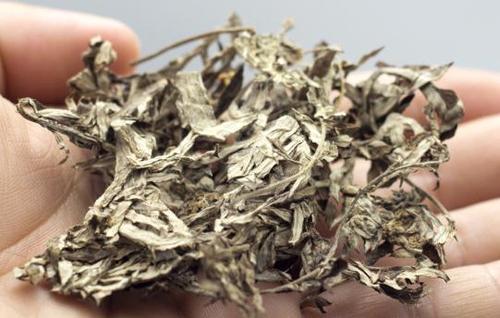晒干的艾叶能泡水喝么艾叶煮水喝有什么功效