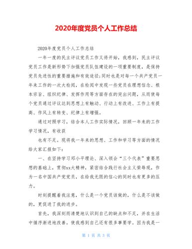 2020年度党员个人工作总结