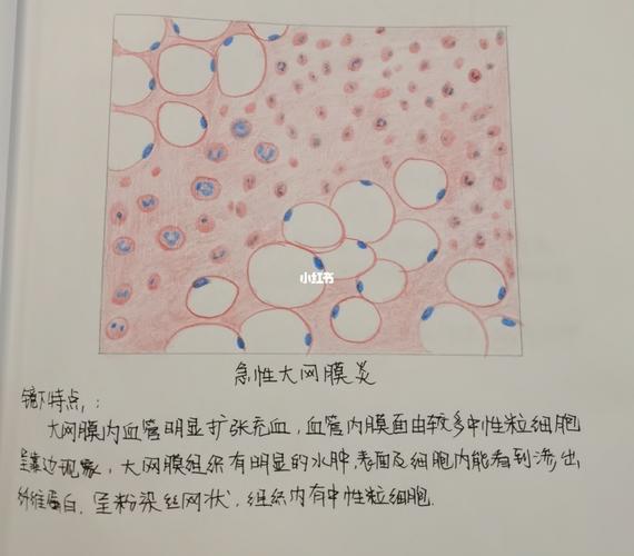 病理学实验红蓝铅笔绘图_铅笔_病理学_医疗健康_医疗