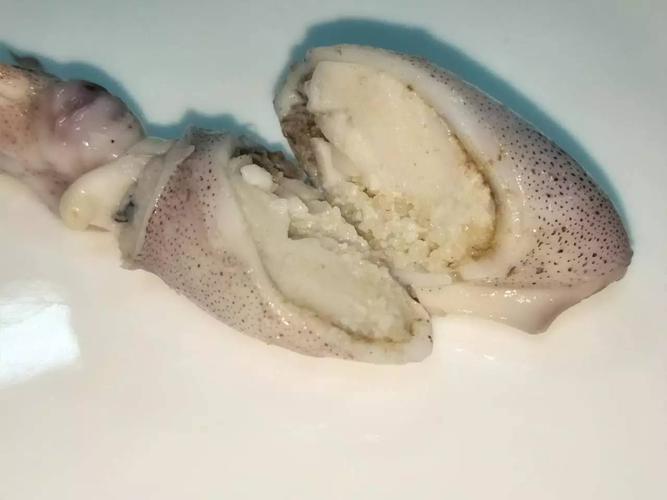 带籽的海兔子,难以抗拒的美食诱惑