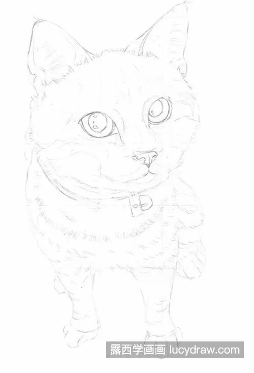 素描小猫怎么画?如何画好动物素描?