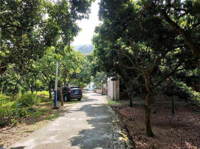 广州从化太平厂房仓库土地出售-今题网