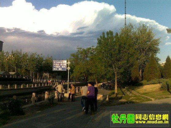 园子里的同志们说,随着牡丹园人气日渐高涨,盘踞在臭名昭著的东单公园