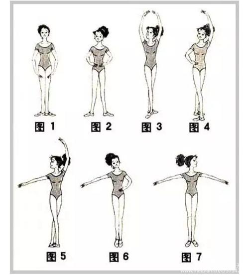 舞蹈站位与手位
