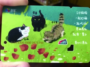 南大校园动物明星表态智汇卡:救济流浪动物