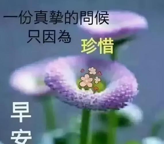 温馨早上好祝福动态图片带字,清晨最新早上好问候语动态表情图