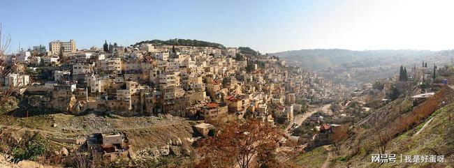 苏联建立了犹太自治州为何犹太人不大量移民