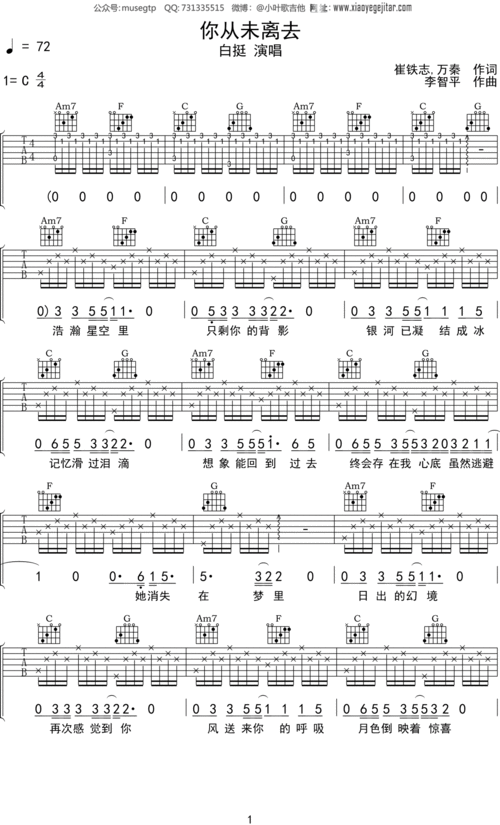 白挺《你从未离去》吉他谱c调吉他弹唱谱