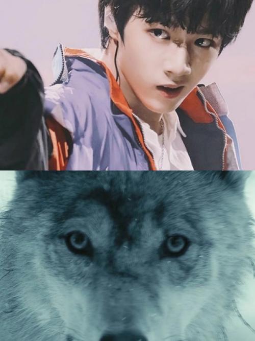 狼系养成男朋友