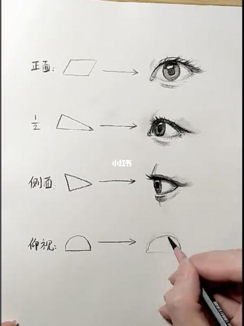 不同角度的眼睛的画法_素描_零基础素描_文化_绘画
