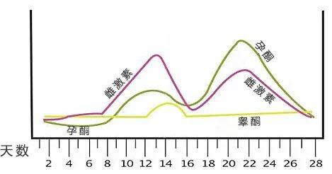 生理周期中三种激素水平变化曲线