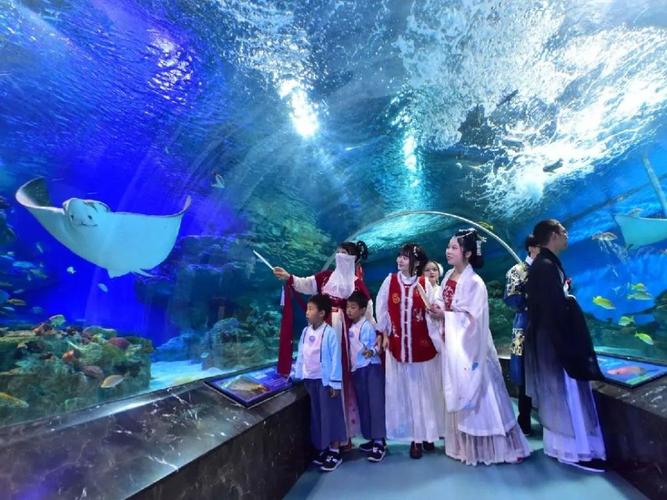 成都海昌极地海洋公园青少年票免费送啦!88元抢原价290元套票!