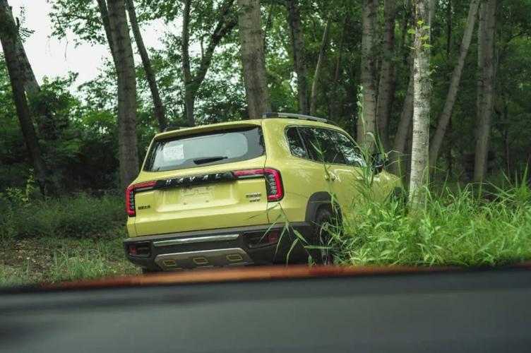 可城可野 哈弗大狗越野体验-新浪汽车
