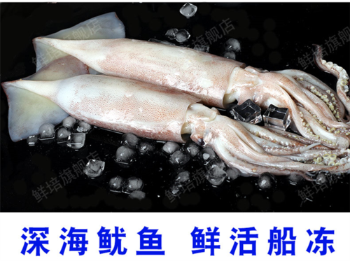 台湾海峡大虾野生基围虾海鲜对虾青虾远洋捕捞码头采购