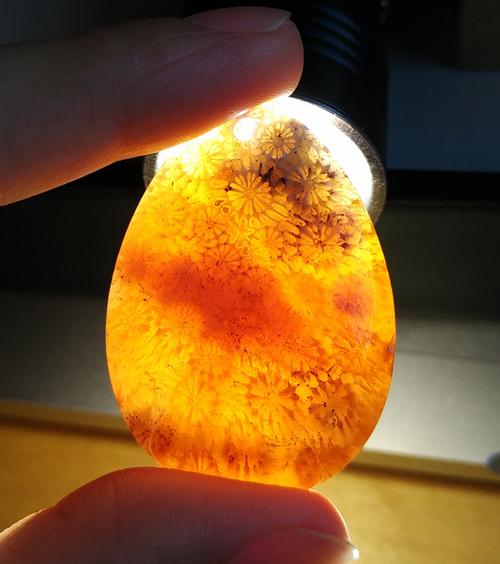 热卖天然珊瑚玉 吊坠 牌子 平安扣 雕刻 原石 保天然 多款推荐