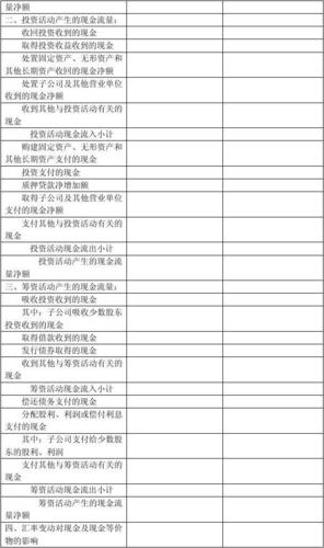上市公司最新现金流量表空白模板