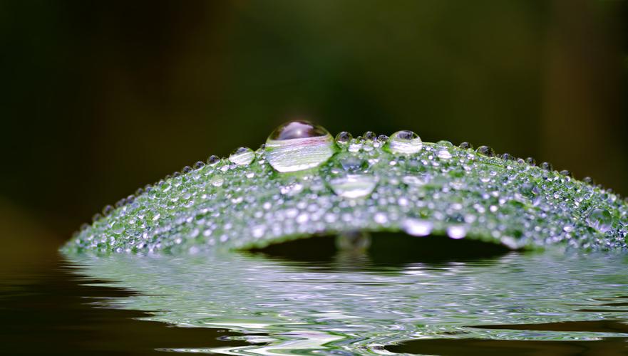 滴水图片_滴水图片大全_全景图片