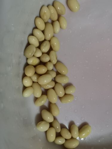 豆子泡在水里的变化