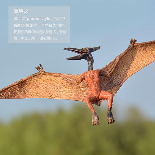 侏罗纪公园玩具 实心塑胶仿真恐龙世界模型 站姿翼龙翼手龙飞龙