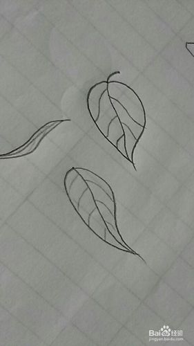 铅笔简笔画树叶