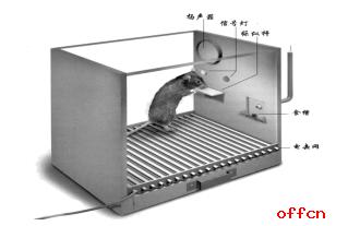 斯金纳改进了桑代克的猫开笼取食实验,创建了"斯金纳箱".