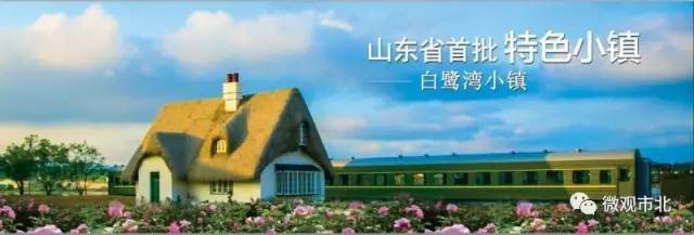 白鹭湾小镇的手抄报 手抄报模板大全