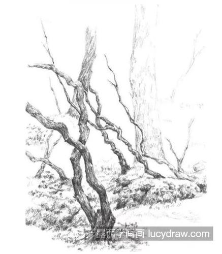 灌木丛怎么画?简单易学的零基础速写教程分享