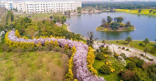 "满园春色关不住" 电子科技大学东湖的高空俯瞰美景图 邝俊摄