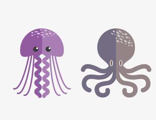 关键词 : 海洋生物,水母,章鱼