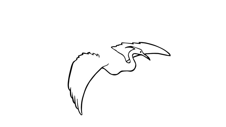 白鹭飞翔怎么画 - 简笔画 - 懂得
