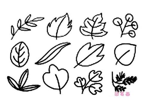 【树叶简笔画】各种儿童树叶简笔画图片大全