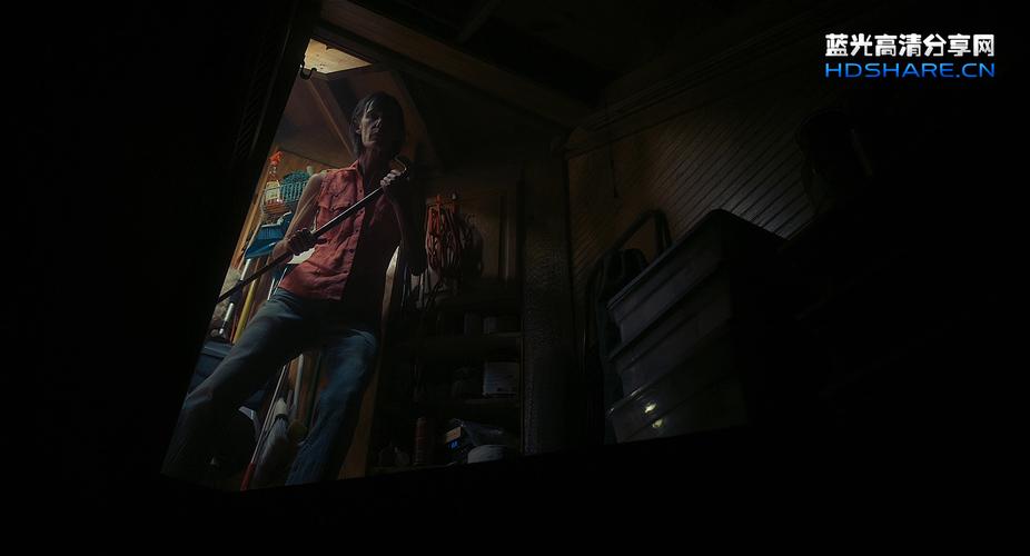 蓝光电影|蓝光原盘 [恐雨].fear.of.rain.2021.usa.bluray.1080p.avc.