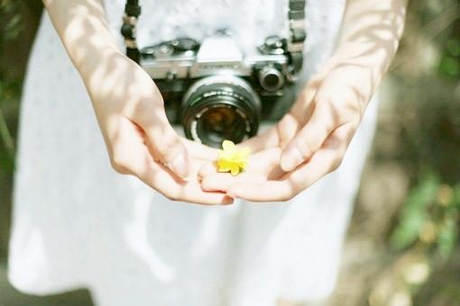 初恋如此美好 静物的唯美图片 — 唯美图片大全 qqjay