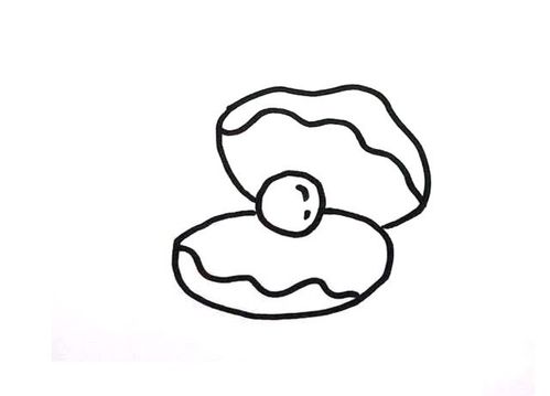 6款贝壳简笔画图片 贝壳怎么画