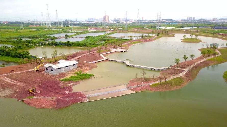 谢岗镇银山市级湿地公园现雏形预计今年12月底完工