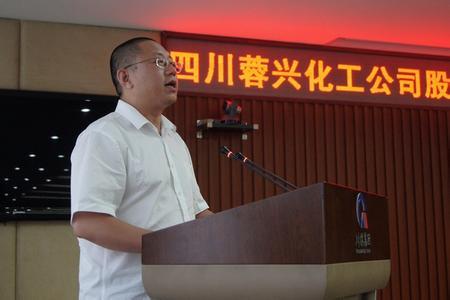 胡文强-南风化工集团股份有限公司董事长介绍