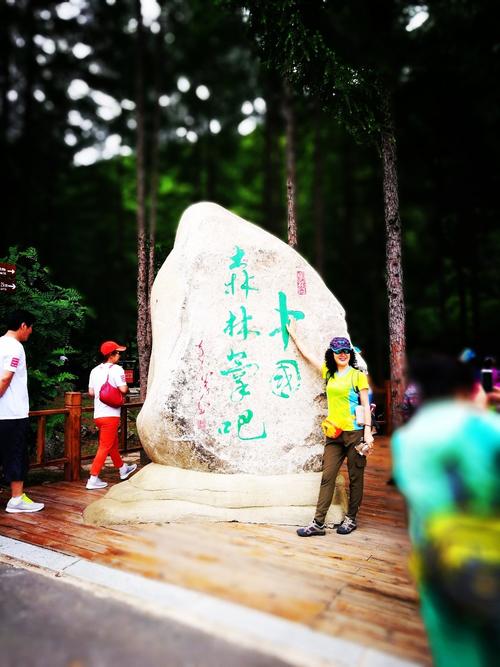 辽宁省本溪市桓仁满族自治县向阳乡567乡道枫林谷森林公园天气预报