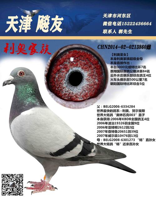 利奥圣女