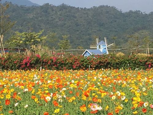 收藏周末去哪儿玩惠州博罗旅游攻略来啦