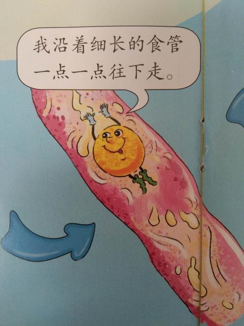 郭家屯镇葫芦寺幼儿园大班健康《小豆子旅行记》