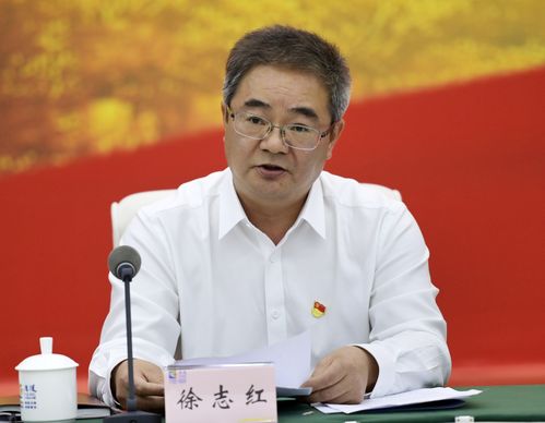 涪陵区召开学习贯彻习近平总书记在庆祝中国共产党成立100周年大会上