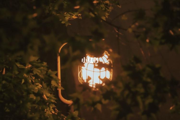 你应该很快乐_影视_电影(图文)