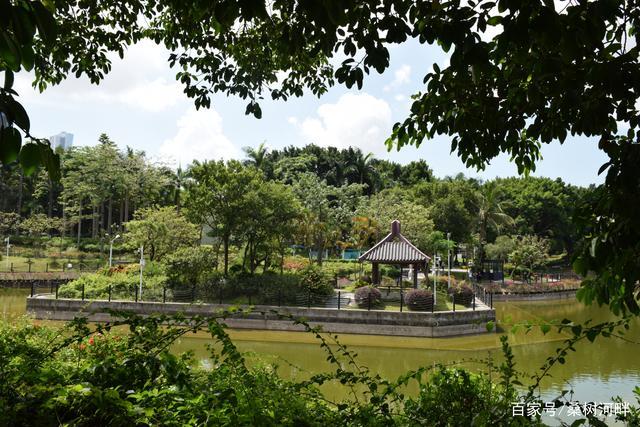 深圳消暑好地方——深圳中山公园(中)